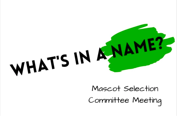 The final three mascot options– Panthers, Green Wave, and Hawks – were presented to the Board of Education at its meeting Monday night. Pascack Valley students and faculty will be given the opportunity to vote for the mascot on Thursday, Feb. 24. 