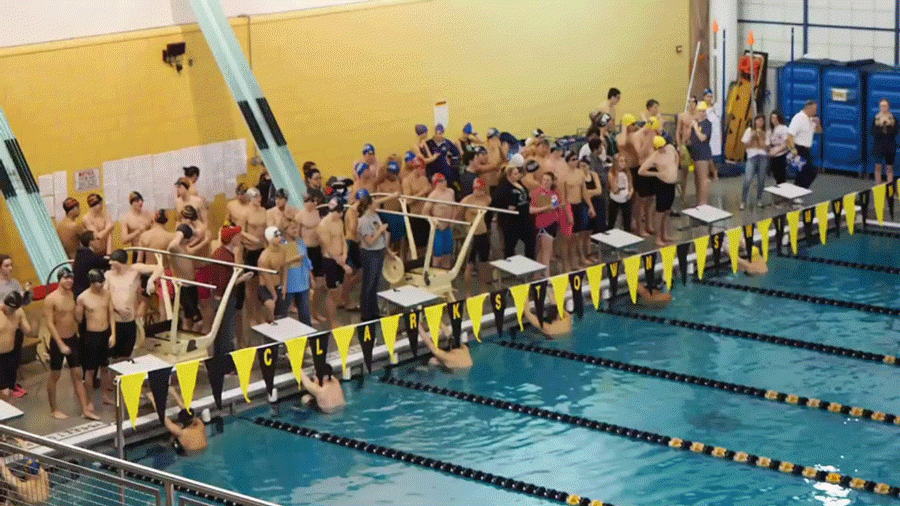 PV swimmers begin their race during a meet.  