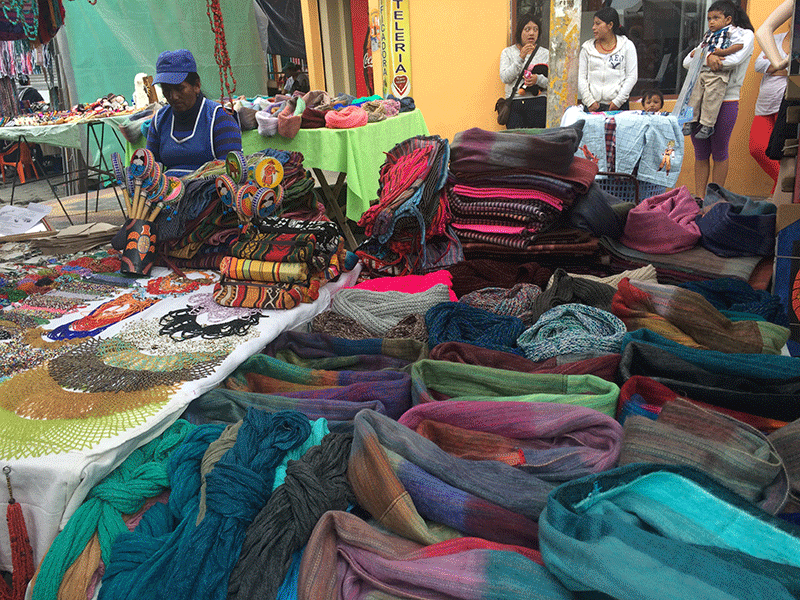 Sudents visit a market place in Otavalo.