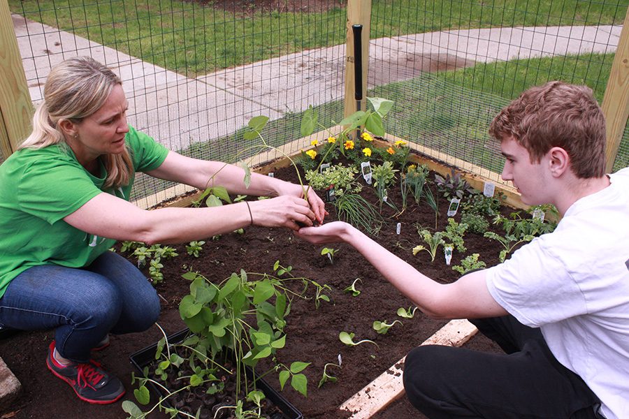 Culinary teacher Julianne Downes assists sophomore Louie Lopez plant string beans in the new garden. On May 14, herbs and vegetables were planted in the garden found in the courtyard to be used for next years culinary classes.