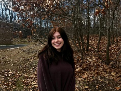 Pascack Valley junior Lindsey Mattesich started her YouTube channel on Feb. 4, 2018. She makes vlogs and sit down videos and has over 1,000 subscribers. 