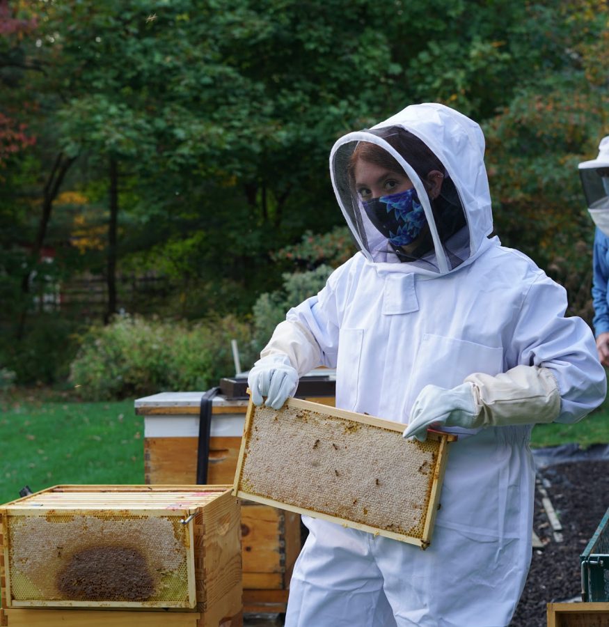 Junior Faith Macchione first learned about the importance of beekeeping during a Girl Scouts project. She has gone on to help start the Beekeeping Club at Pascack Valley and create a Gold award around the premise of beekeeping. 