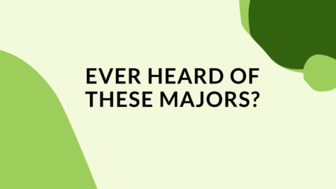 The PV Student Publication sent a Google Form to the Class of 2021. The publication reached out to a few individuals from the form who are pursuing uncommon majors. 