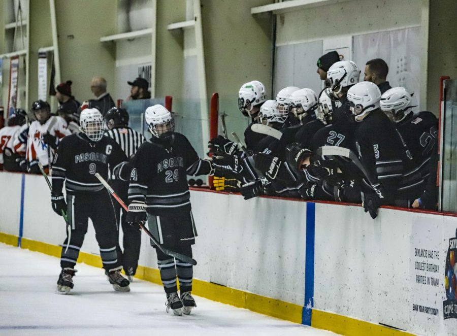 The team celebrates after a goal for Valley. Check out the preview below as you might see some familiar faces returning to the ice. 