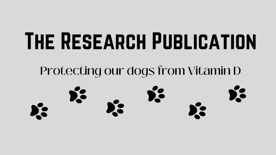 The PV Student Publication has partnered with The Research Club to publish a series of research essays explaining innovative new research studies as well as other important topics. This essay explores the effect of Vitamin D consumption on dogs and how to prevent, and if necessary, help the situation.
