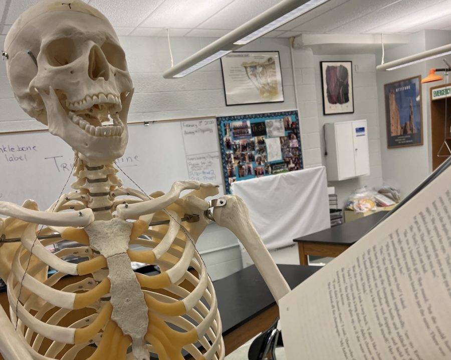 The percentage of stem electives to humanities electives is 65.4% to 34.6%. Staff writer Maya Schlessinger shares students thoughts on the lack of humanities classes. 