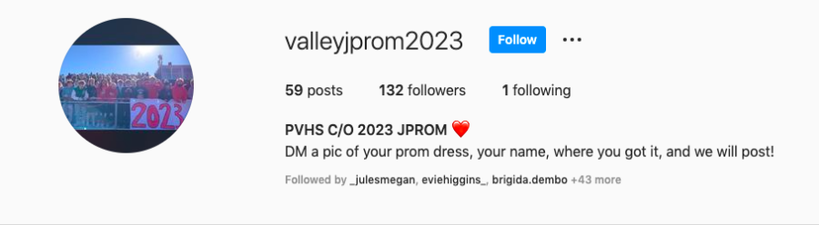 2022 Junior Prom Dress Overview