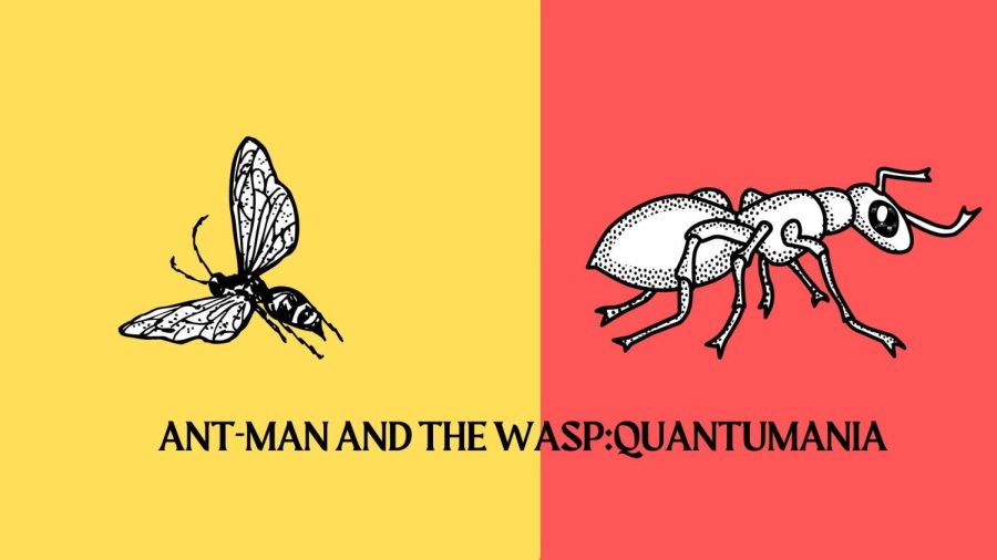 Megan Austin reviews the new Marvel movie, "Ant-Man and the Wasp: Quantumania".  