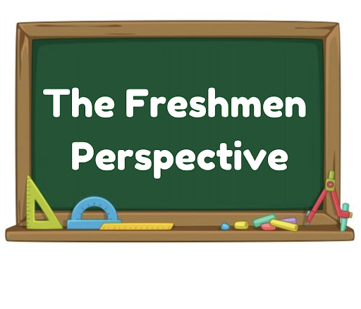 PV Freshmen share their opinions on Valley and the adjustment to high school