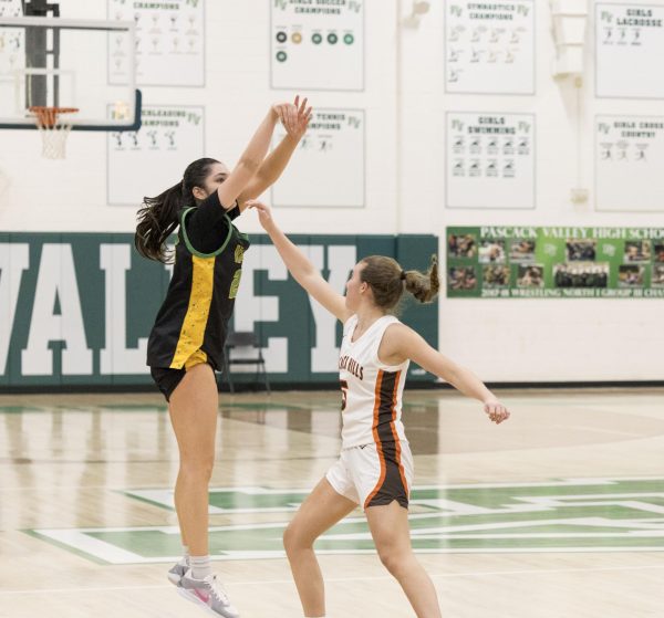 Raina Gibbs shoots a three over the defender